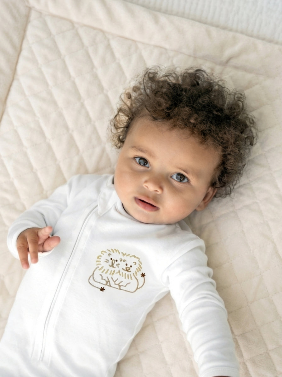 The Babysuit - The Babysuit
